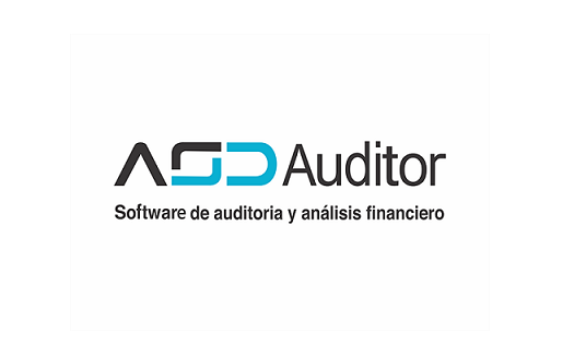 ASD AUDITOR - Software de Auditoría y Análisis Financiero
