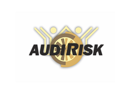 AUDIRISK - Software de Auditoría Basada en Riesgos Críticos