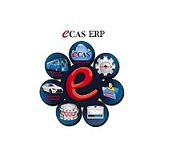 ECAS Software ERP para Empresas | Sistemas ERP | ERP Contable 