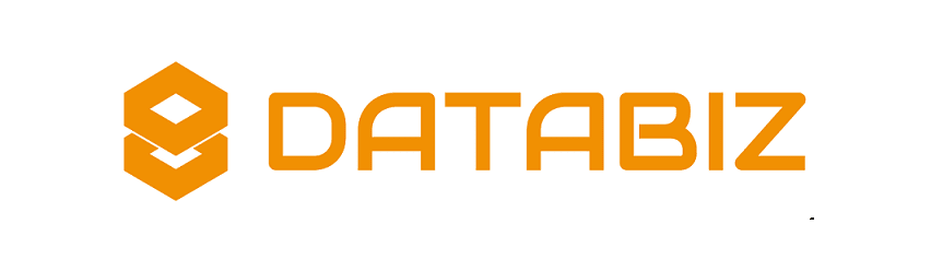 DATABIZ S.A.S. - Arquitectura de Datos